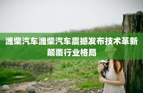 潍柴汽车潍柴汽车震撼发布技术革新颠覆行业格局