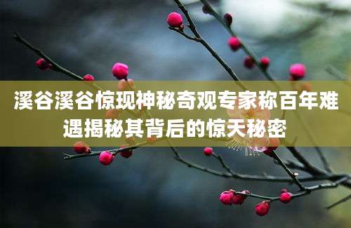 溪谷溪谷惊现神秘奇观专家称百年难遇揭秘其背后的惊天秘密