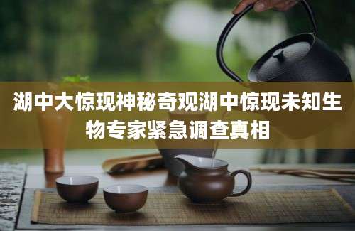 湖中大惊现神秘奇观湖中惊现未知生物专家紧急调查真相