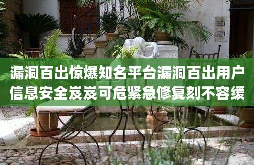 漏洞百出惊爆知名平台漏洞百出用户信息安全岌岌可危紧急修复刻不容缓