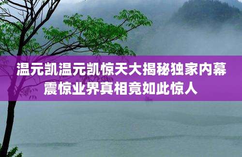 温元凯温元凯惊天大揭秘独家内幕震惊业界真相竟如此惊人