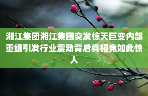 湘江集团湘江集团突发惊天巨变内部重组引发行业震动背后真相竟如此惊人