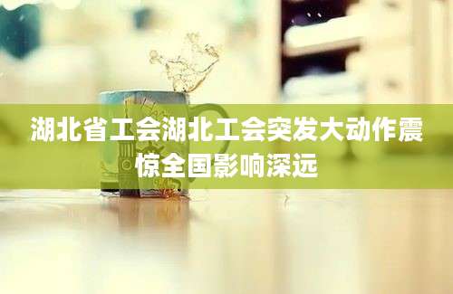 湖北省工会湖北工会突发大动作震惊全国影响深远