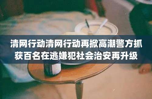 清网行动清网行动再掀高潮警方抓获百名在逃嫌犯社会治安再升级