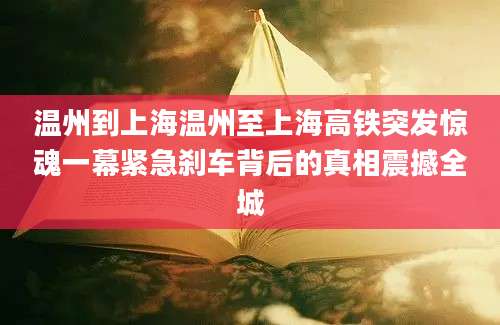 温州到上海温州至上海高铁突发惊魂一幕紧急刹车背后的真相震撼全城
