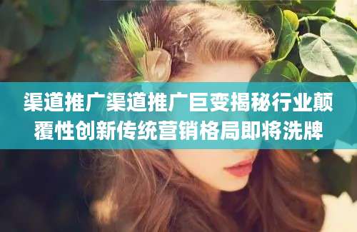 渠道推广渠道推广巨变揭秘行业颠覆性创新传统营销格局即将洗牌