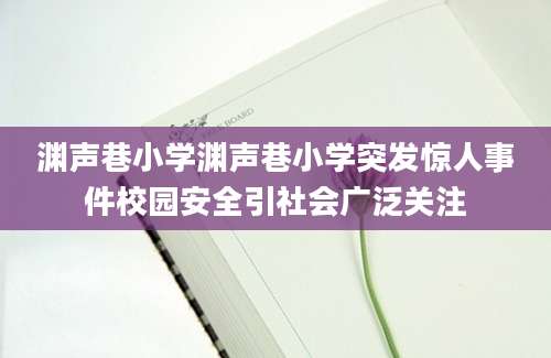 渊声巷小学渊声巷小学突发惊人事件校园安全引社会广泛关注