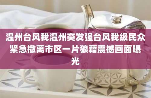 温州台风我温州突发强台风我级民众紧急撤离市区一片狼藉震撼画面曝光