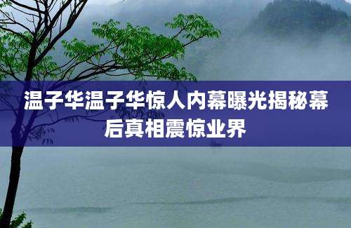 温子华温子华惊人内幕曝光揭秘幕后真相震惊业界