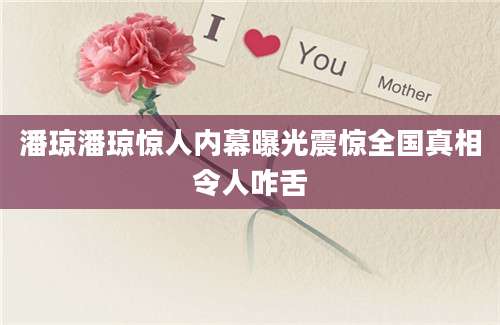 潘琼潘琼惊人内幕曝光震惊全国真相令人咋舌
