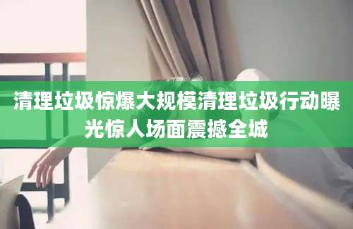 清理垃圾惊爆大规模清理垃圾行动曝光惊人场面震撼全城