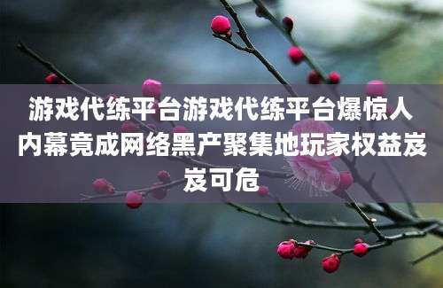 游戏代练平台游戏代练平台爆惊人内幕竟成网络黑产聚集地玩家权益岌岌可危