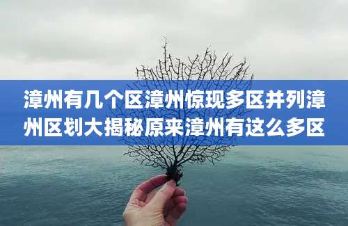 漳州有几个区漳州惊现多区并列漳州区划大揭秘原来漳州有这么多区