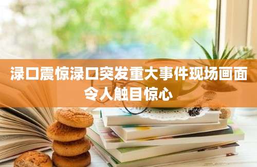 渌口震惊渌口突发重大事件现场画面令人触目惊心