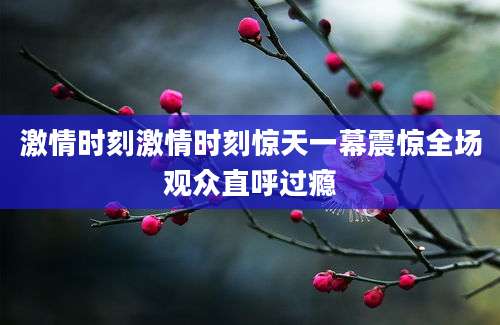 激情时刻激情时刻惊天一幕震惊全场观众直呼过瘾