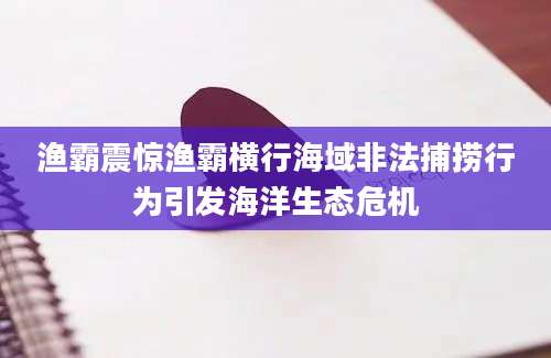 渔霸震惊渔霸横行海域非法捕捞行为引发海洋生态危机
