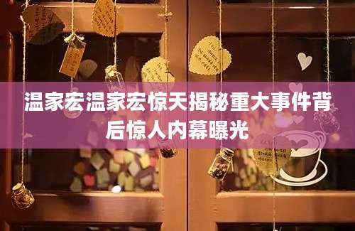 温家宏温家宏惊天揭秘重大事件背后惊人内幕曝光