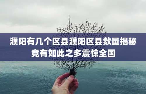 濮阳有几个区县濮阳区县数量揭秘竟有如此之多震惊全国
