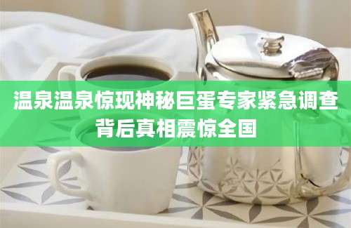 温泉温泉惊现神秘巨蛋专家紧急调查背后真相震惊全国