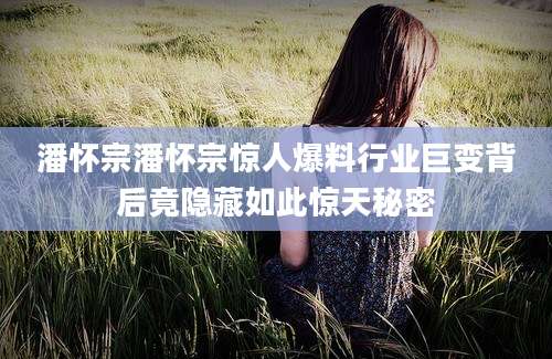 潘怀宗潘怀宗惊人爆料行业巨变背后竟隐藏如此惊天秘密
