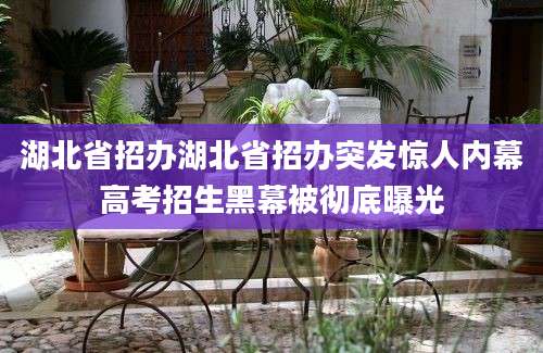 湖北省招办湖北省招办突发惊人内幕高考招生黑幕被彻底曝光