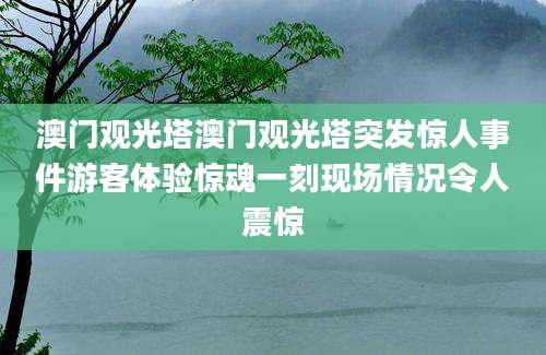 澳门观光塔澳门观光塔突发惊人事件游客体验惊魂一刻现场情况令人震惊