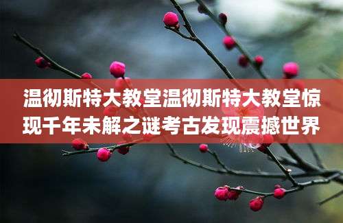 温彻斯特大教堂温彻斯特大教堂惊现千年未解之谜考古发现震撼世界