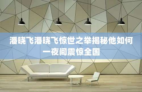 潘晓飞潘晓飞惊世之举揭秘他如何一夜间震惊全国