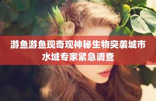 游鱼游鱼现奇观神秘生物突袭城市水域专家紧急调查