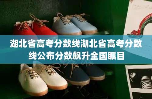 湖北省高考分数线湖北省高考分数线公布分数飙升全国瞩目