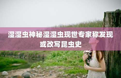 湿湿虫神秘湿湿虫现世专家称发现或改写昆虫史