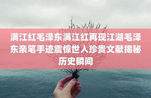 满江红毛泽东满江红再现江湖毛泽东亲笔手迹震惊世人珍贵文献揭秘历史瞬间