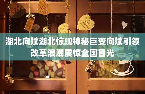 湖北向斌湖北惊现神秘巨变向斌引领改革浪潮震惊全国目光