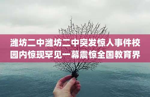 潍坊二中潍坊二中突发惊人事件校园内惊现罕见一幕震惊全国教育界