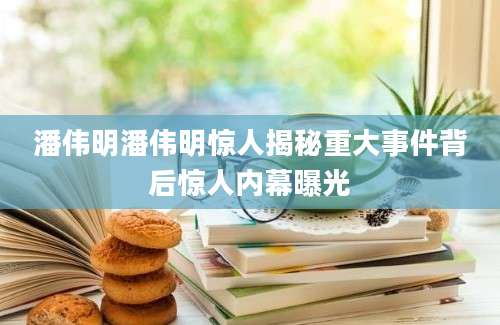 潘伟明潘伟明惊人揭秘重大事件背后惊人内幕曝光