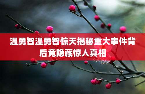 温勇智温勇智惊天揭秘重大事件背后竟隐藏惊人真相