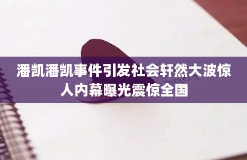 潘凯潘凯事件引发社会轩然大波惊人内幕曝光震惊全国