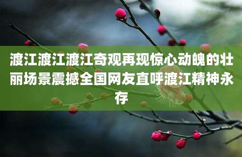 渡江渡江渡江奇观再现惊心动魄的壮丽场景震撼全国网友直呼渡江精神永存