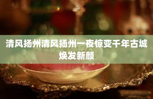 清风扬州清风扬州一夜惊变千年古城焕发新颜
