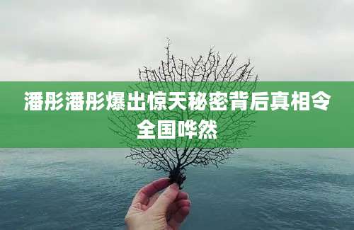 潘彤潘彤爆出惊天秘密背后真相令全国哗然