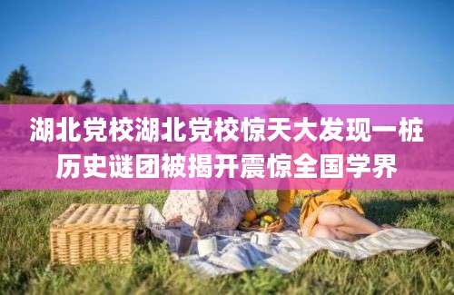 湖北党校湖北党校惊天大发现一桩历史谜团被揭开震惊全国学界
