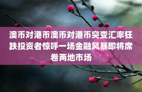 澳币对港币澳币对港币突变汇率狂跌投资者惊呼一场金融风暴即将席卷两地市场