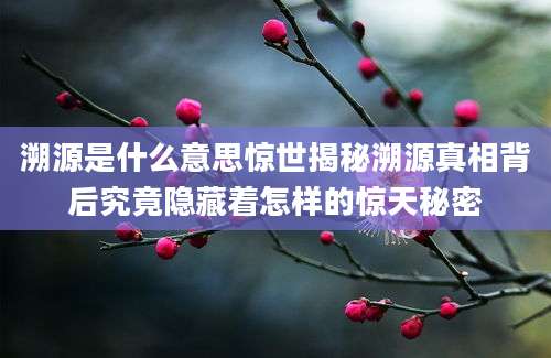 溯源是什么意思惊世揭秘溯源真相背后究竟隐藏着怎样的惊天秘密