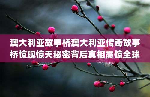 澳大利亚故事桥澳大利亚传奇故事桥惊现惊天秘密背后真相震惊全球