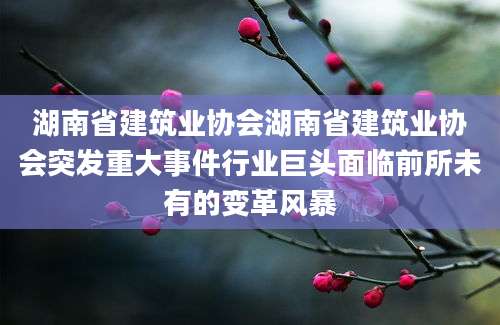 湖南省建筑业协会湖南省建筑业协会突发重大事件行业巨头面临前所未有的变革风暴