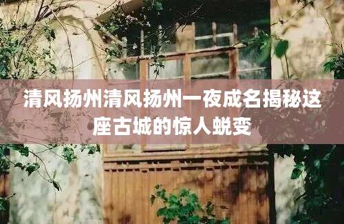 清风扬州清风扬州一夜成名揭秘这座古城的惊人蜕变