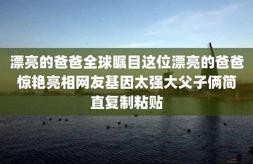 漂亮的爸爸全球瞩目这位漂亮的爸爸惊艳亮相网友基因太强大父子俩简直复制粘贴