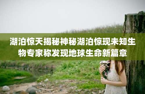 湖泊惊天揭秘神秘湖泊惊现未知生物专家称发现地球生命新篇章