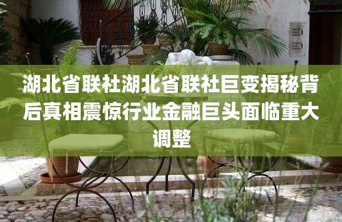 湖北省联社湖北省联社巨变揭秘背后真相震惊行业金融巨头面临重大调整
