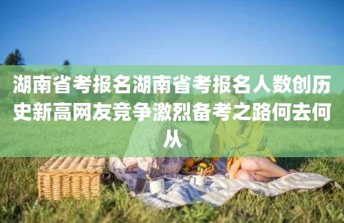 湖南省考报名湖南省考报名人数创历史新高网友竞争激烈备考之路何去何从